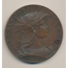 Médaille - Lendit de Perigueux 1896 - bronze - 68mm - TTB