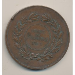 Médaille - Lendit de Perigueux 1896 - bronze - 68mm - TTB 2