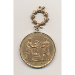 Médaille - Concours hygiène de l'enfance - Paris 1894 - cuivre doré - SUP