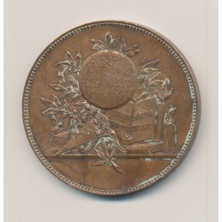 Médaille - Oeuvre de l'encouragement à l'étude - bronze 42mm - TTB