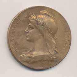 Médaille - Assistance publique - bureau de bienfaisance 1906 - bronze 42mm - TTB