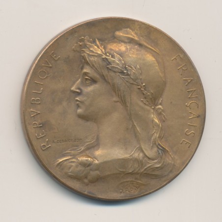 Médaille - Assistance publique - bureau de bienfaisance 1906 - bronze 42mm - TTB