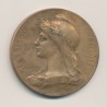 Médaille - Assistance publique - bureau de bienfaisance 1906 - bronze 42mm - TTB