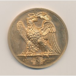 Médaille - Napoléon en Égypte - 1798 - refrappe - Collection Napoléon Empereur - bronze 2