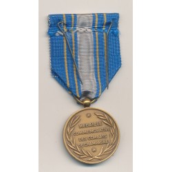 Médaille - Commémorative combats de Champagne - dite de Navarin - 1914-1918 2