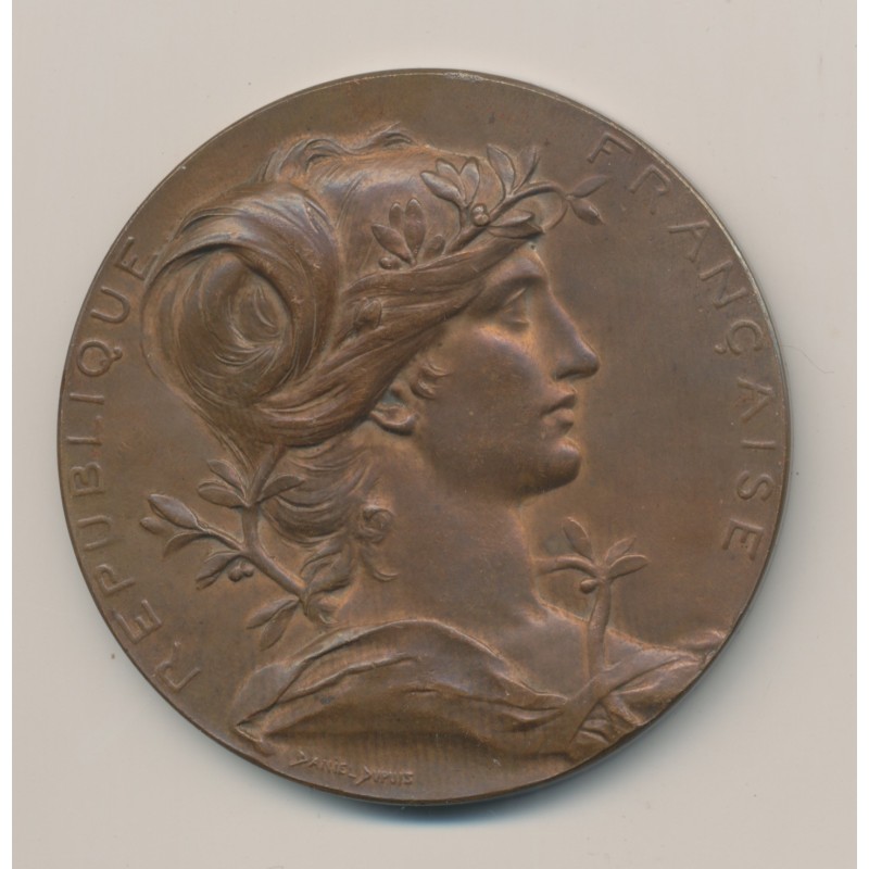 Médaille - Exposition Universelle - 1889 - Bronze