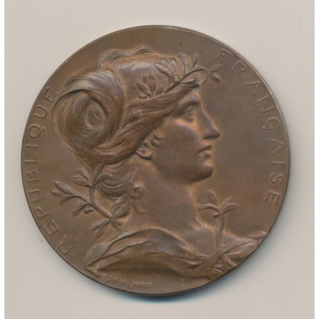 Médaille - Exposition Universelle - 1889 - Bronze
