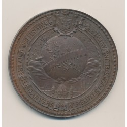 Médaille - Exposition Universelle d'Anvers - 1894 - 61mm - TTB+ 2