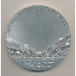 Médaille - Ministère de la coopération - bronze argenté - 95mm - 597g  2