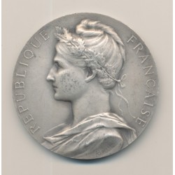 Médaille - Caisse nationale d'assurances sur la vie - 1955 - argent 60g - 50mm - TTB