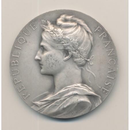 Médaille - Caisse nationale d'assurances sur la vie - 1955 - argent 60g - 50mm - TTB