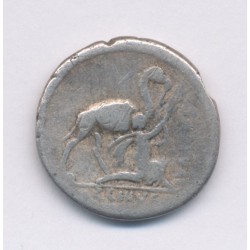 République Romaine - Denier Plautia - argent - TB 2