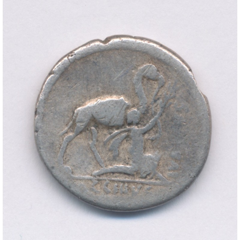 République Romaine - Denier Plautia - argent - TB