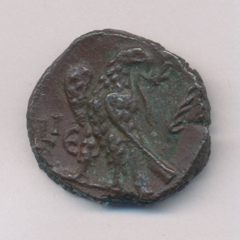 Gallien - Tétradrachme provincial - Alexandrie - bronze - TTB