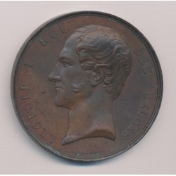 Médaille - Exposition des Flandres - 1849 - Léopold 1er - cuivre - TTB 2