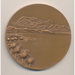 Médaille - Ville de l'ile rousse - Corse - bronze 68mm 2