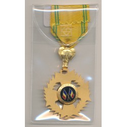 Tchad - Ordre national - grade chevalier - bronze doré et émail - Ordonnance 2