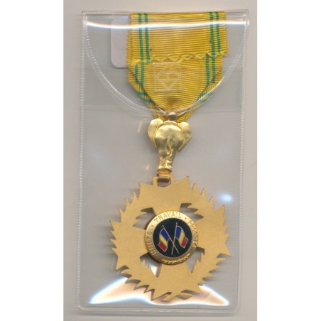 Tchad - Ordre national - grade chevalier - bronze doré et émail - Ordonnance