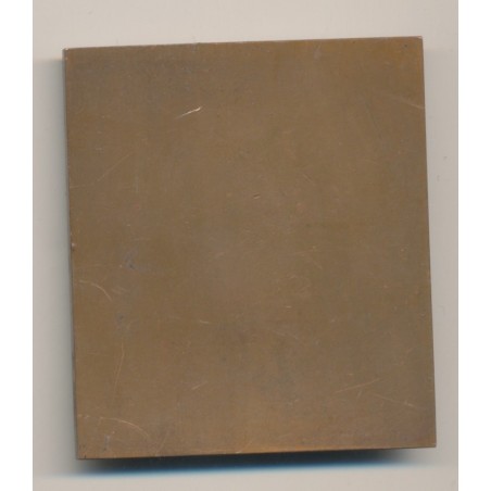 Plaquette - Mozart - Bronze - TTB