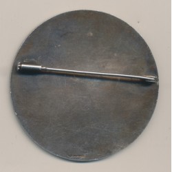 Médaille - Frédéric Mistral - 1830-1914 - bronze argenté - en broche - TTB+ 2