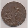 Russie - Médaille de la Société Russe des fruits de l'exposition de 1894 - cuivre 77mm - nominative - SUP