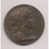Médaille - Marianne - République Française - bronze - 51mm - TTB+