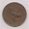 Médaille - Caisse défense mutuelle architecte - 1874 - bronze 45mm - TTB