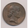 Médaille - François Joseph Gall - Créateur physiologie du cerveau - cuivre - 46mm - TTB