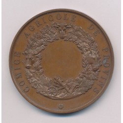 Médaille - Olivier De Serres - Provins - Comice agricole - bronze 51mm - SUP 2