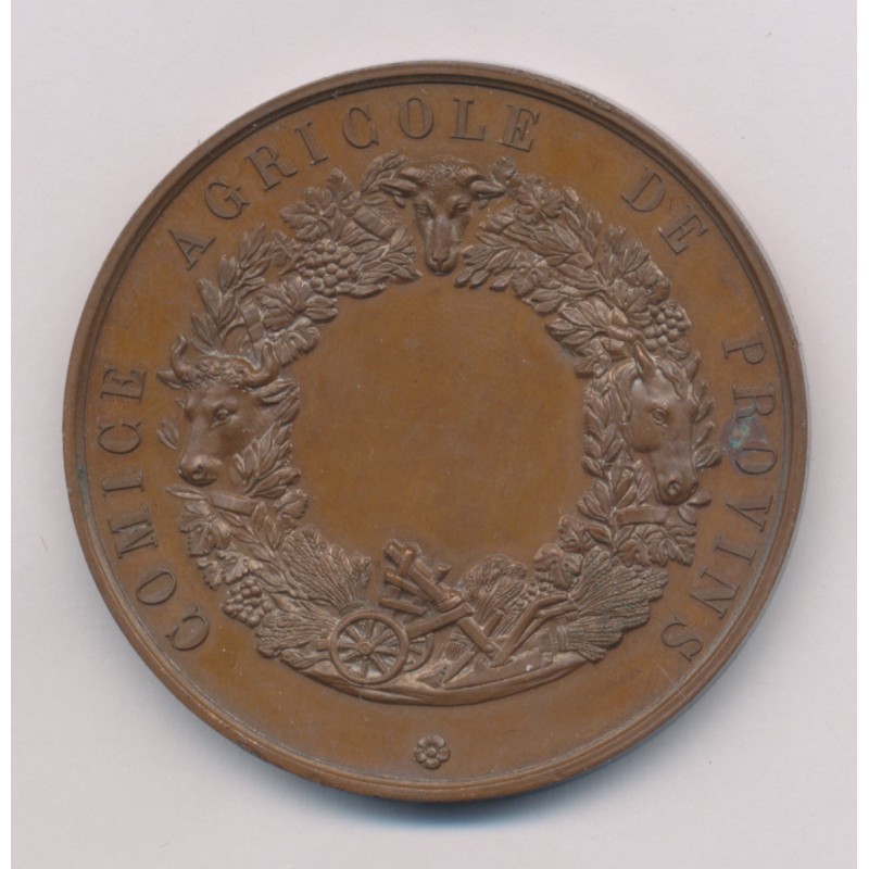 Médaille - Olivier De Serres - Provins - Comice agricole - bronze 51mm - SUP