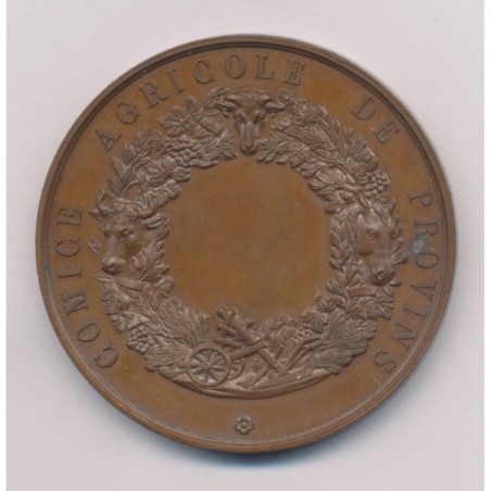 Médaille - Olivier De Serres - Provins - Comice agricole - bronze 51mm - SUP