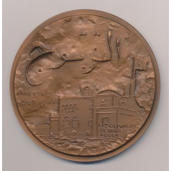 Médaille - Général De Gaulle - Président du comité Français de libération nationale - 1976 - bronze 84mm - N°8/100 - TTB+ 2