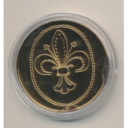Médaille - Philippe II - Collection Rois de France - vermeil  2