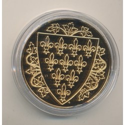 Médaille - Philippe IV - Collection Rois de France - vermeil  2