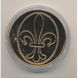 Médaille - Louis IX - Collection Rois de France - vermeil  2