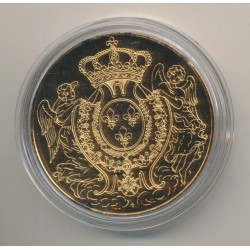 Médaille - Louis XV - Collection Rois de France - vermeil  2