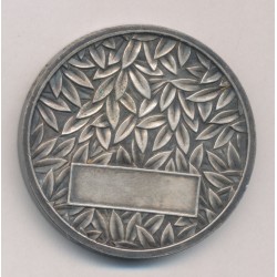 Médaille - Thème Sport - bronze argenté - 42mm - inscription sur la tranche 2