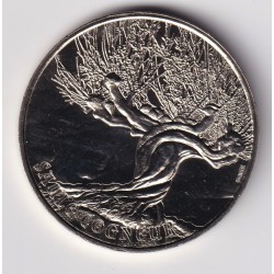 Dept7506 - Harry Potter - saule cogneur - 2022 - Paris