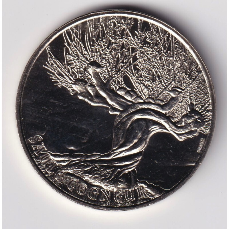 Dept7506 - Harry Potter - saule cogneur - 2022 - Paris