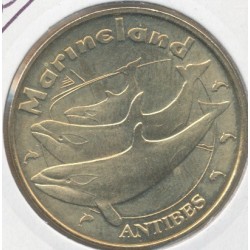 Dept06 - Marineland N°5 - la famille orque N°2 - 2008