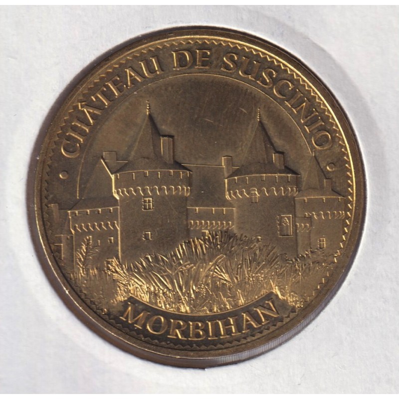 Dept56 - Chateau de Suscinio N°3 - 2015 - Sarzeau