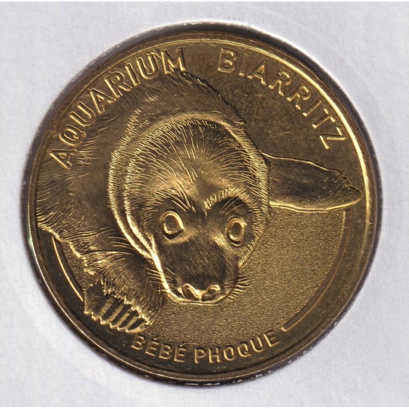 Dept64 - Musée de la mer - bébé phoque - 2019