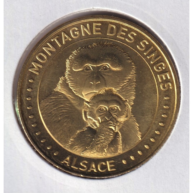 Dept67 - La montagne des singes - Mère et bébé singe 4 - 2020 - Kintzheim