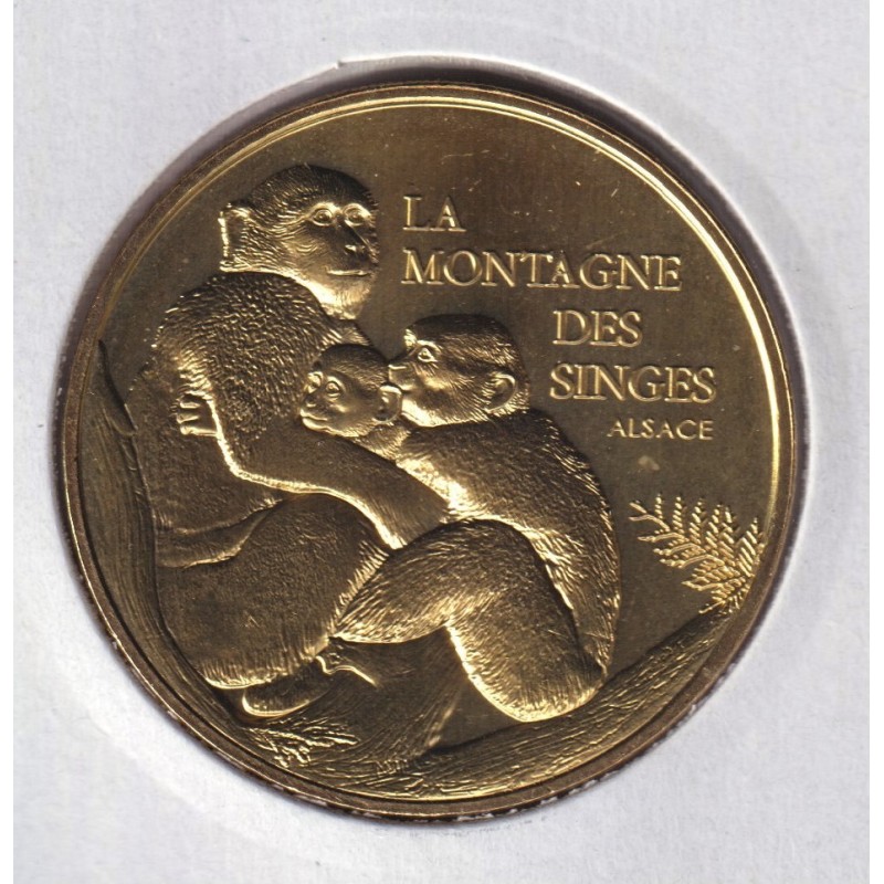 Dept67 - Mère Et Deux Jeunes - 2023 - la montagne des singes - Kintzheim