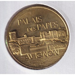 Dept84 - Palais des papes - 2024 SD - Avignon