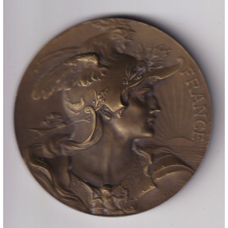 Médaille - Fédération nationale  de syndicats - artisans maitres de la chaussure - bronze - 51mm