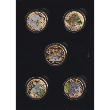 Italie - 5 x 5 Euro - Série Animaux en voie de disparition - 2020 à 2024 - Coffret complet