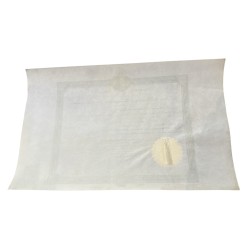 Diplome de bachelier de l'enseignement secondaire classique - Bordeaux - 1904 2