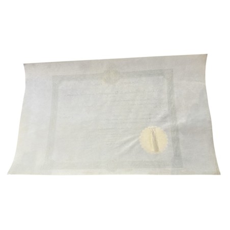 Diplome de bachelier de l'enseignement secondaire classique - Bordeaux - 1904
