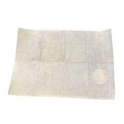Diplôme Maçonnique  - GODF - Loge les frères réunis - Orient de Strasbourg - Diplome de maitre - 1872 2